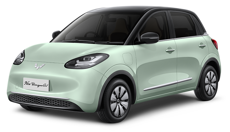 New BinguoEV (start from 279jt)